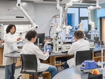 Bachelor's Degree Image